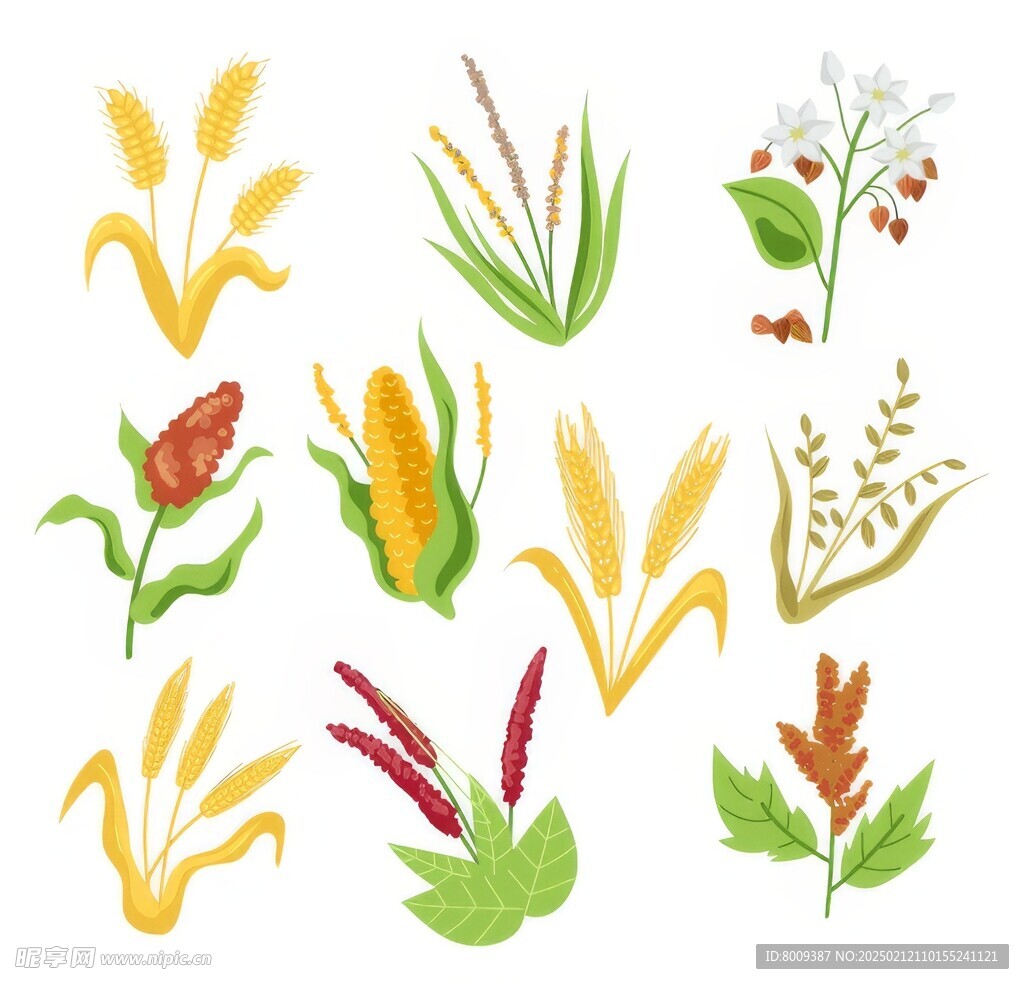 卡通糧食綠植插畫