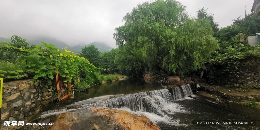 櫻桃園的溪流