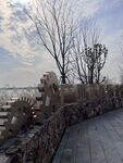 濕地公園