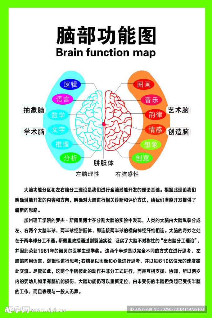 腦部功能
