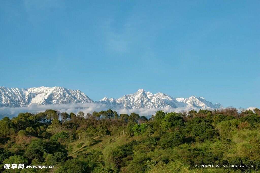 雪山森林