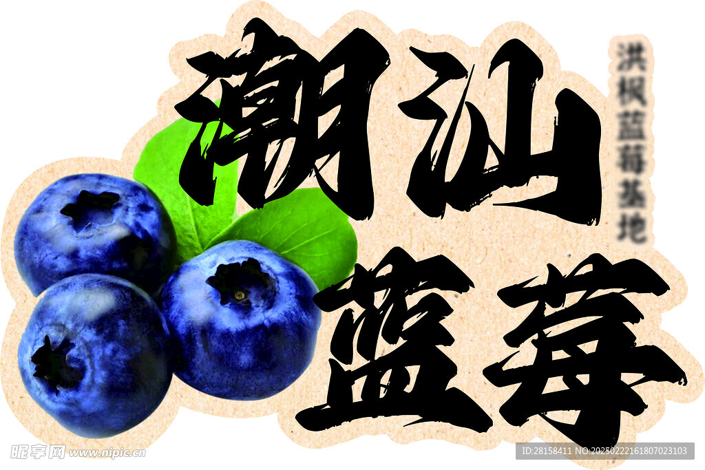 潮汕藍莓