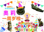 小貓生日海報