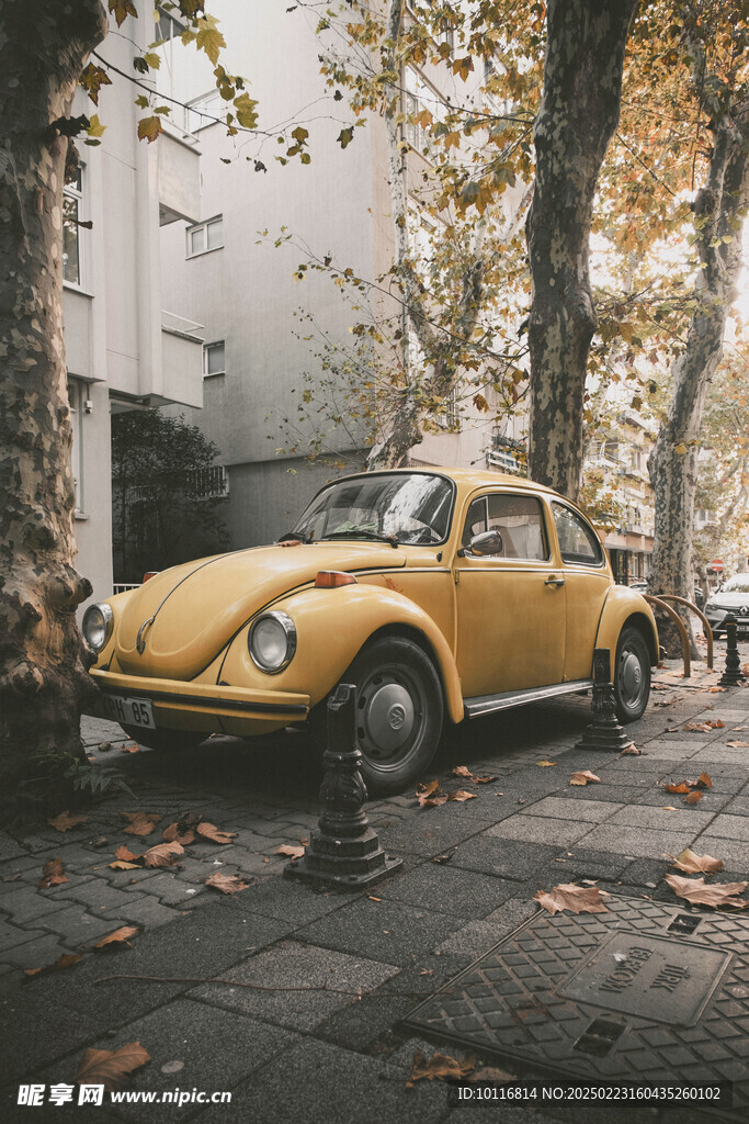 黃色小汽車