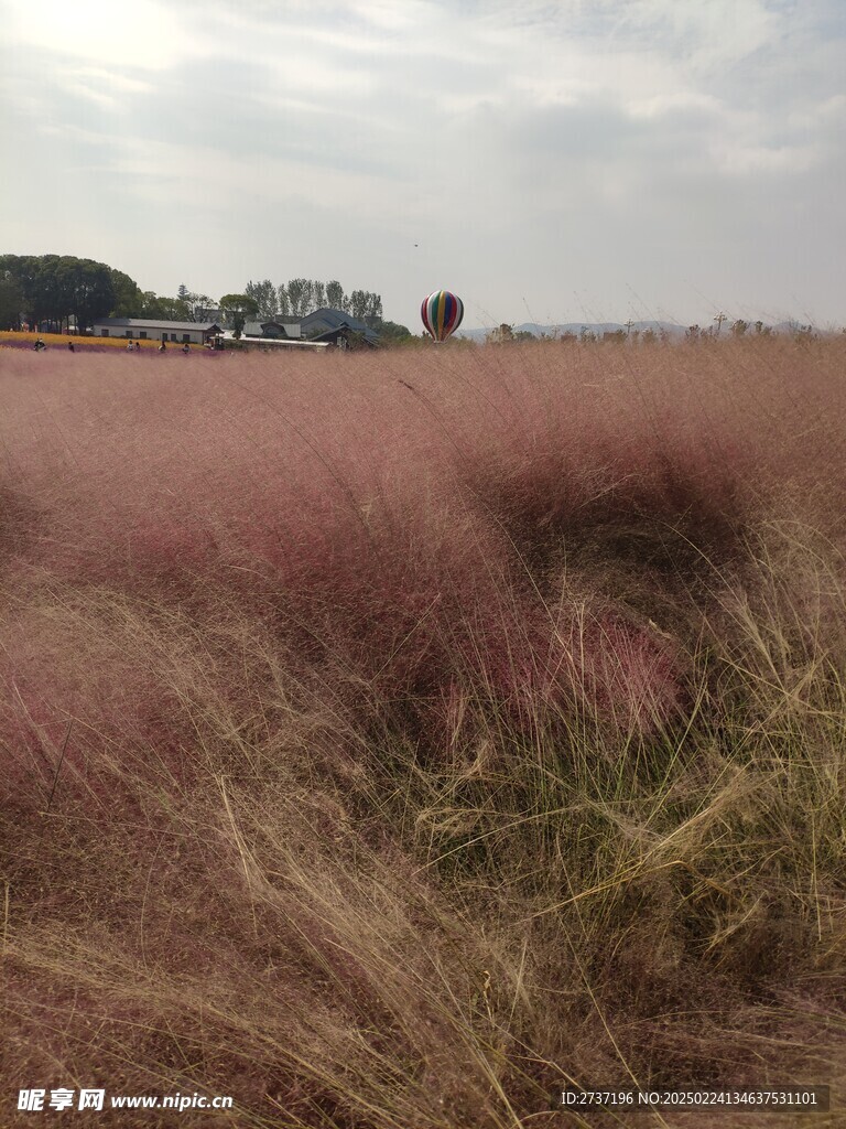粉黛
