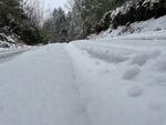 下雪的道路