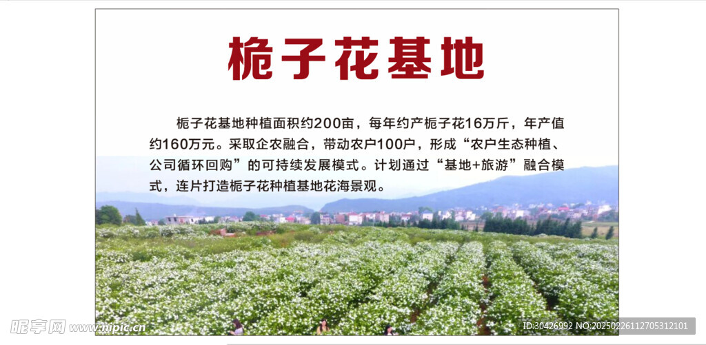 桅子花
