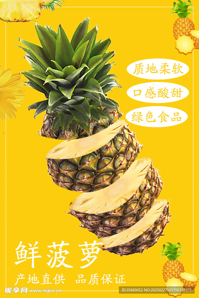 菠蘿海報(bào) 