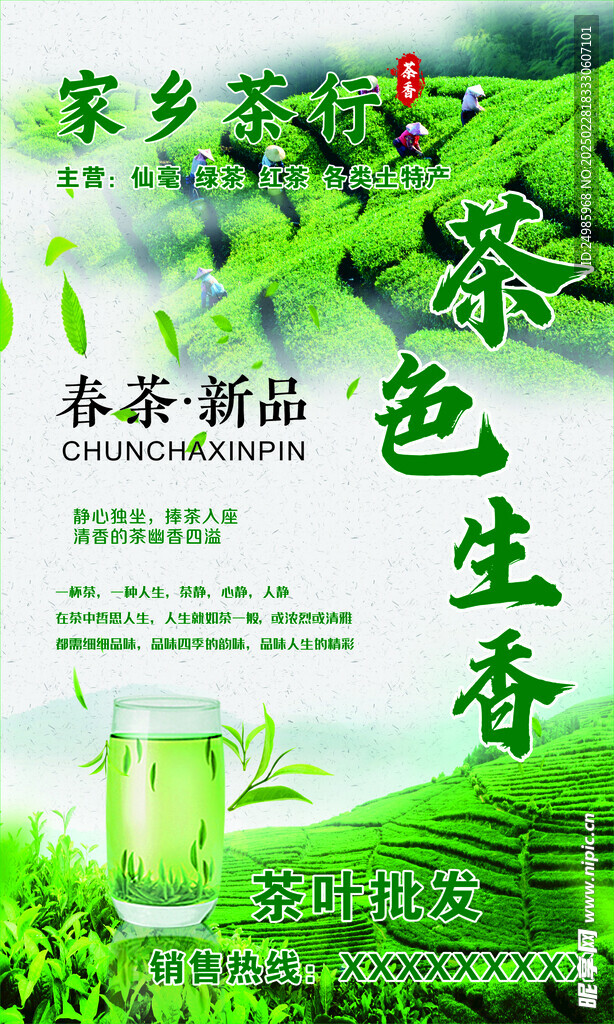 春茶新品