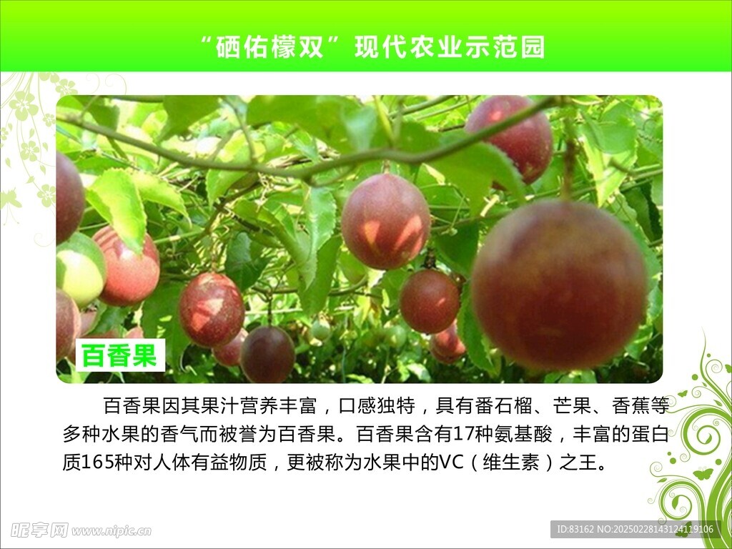 無花果