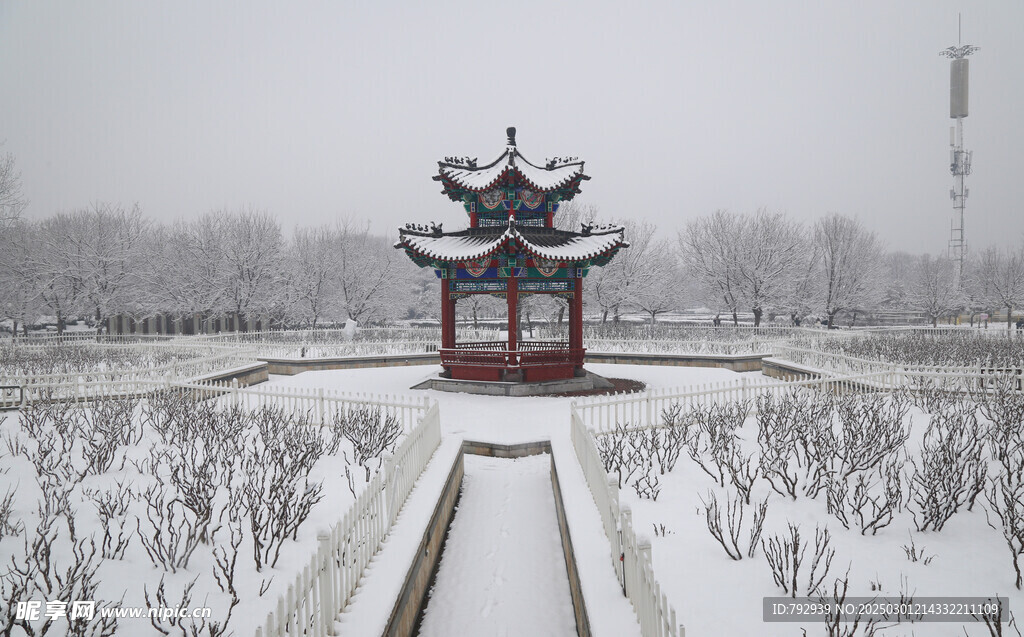 曹州牡丹園雪景