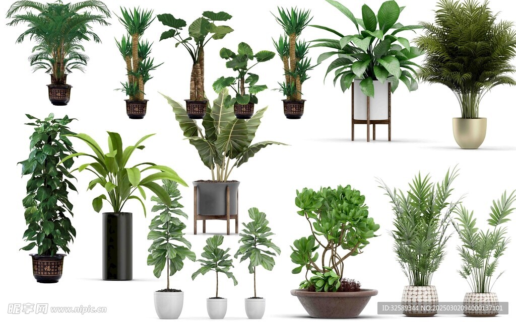 綠植盆栽素材集合一