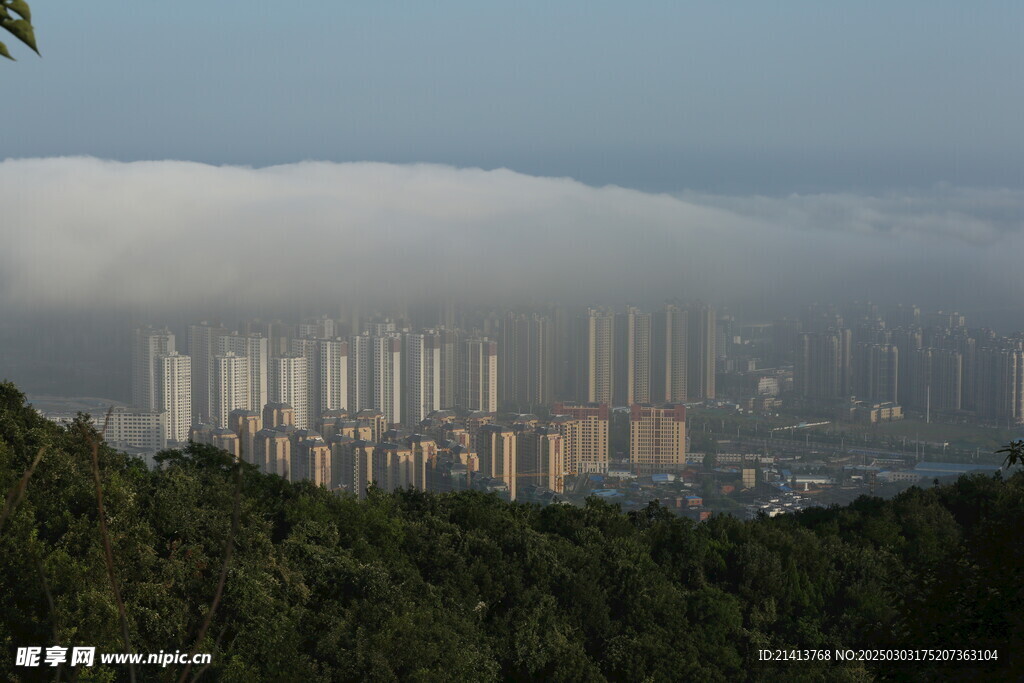 城市建筑全景