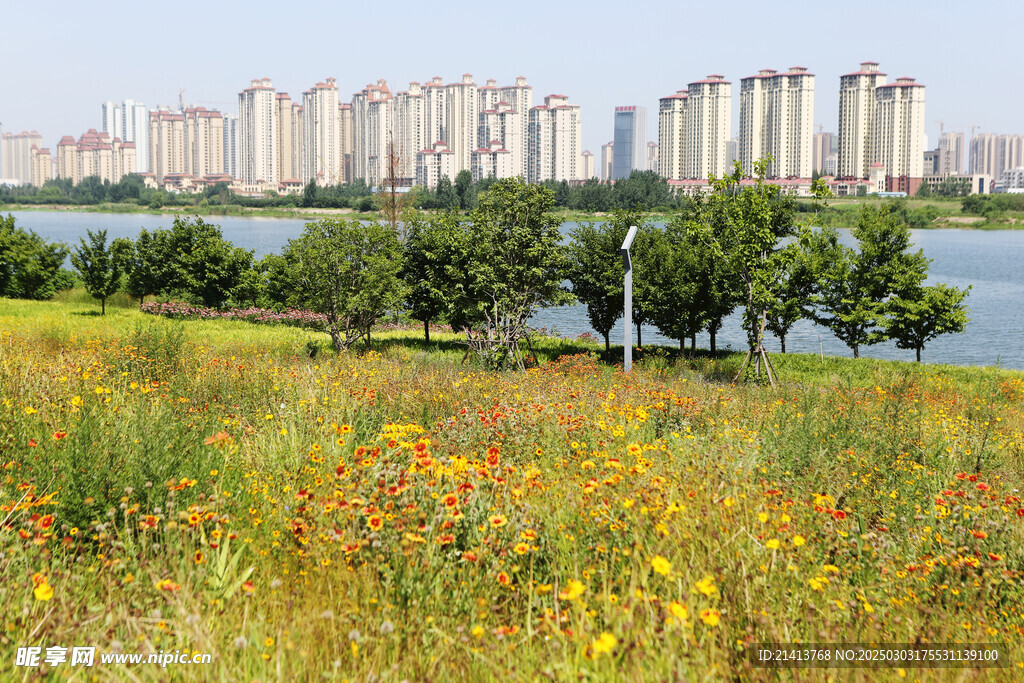 城市建筑全景
