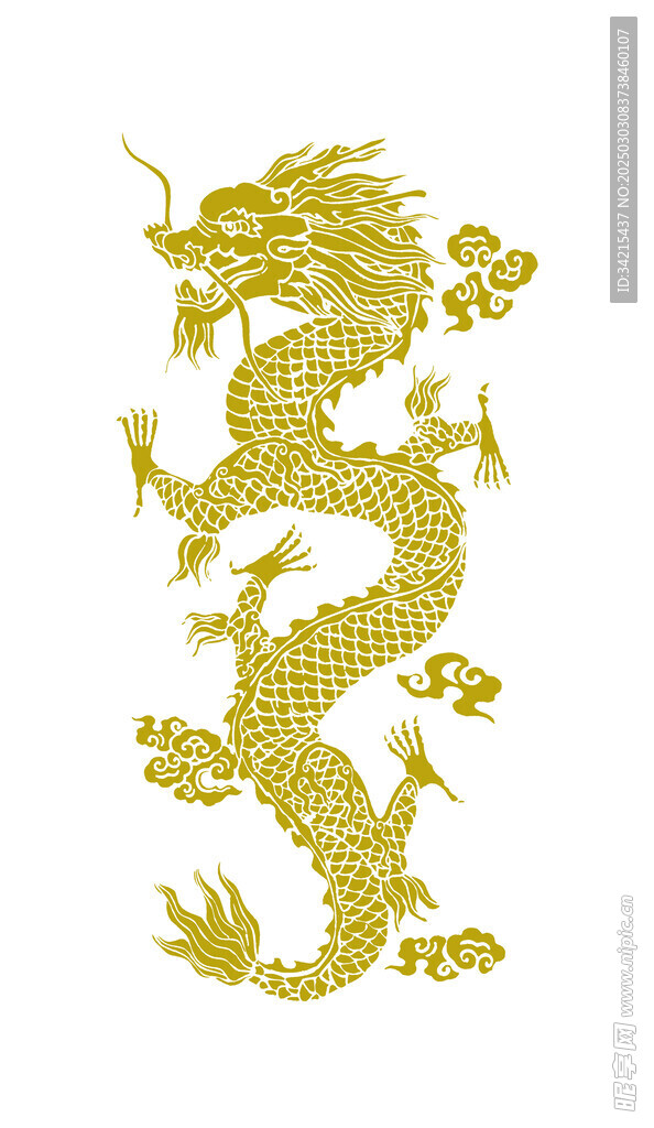 金線龍