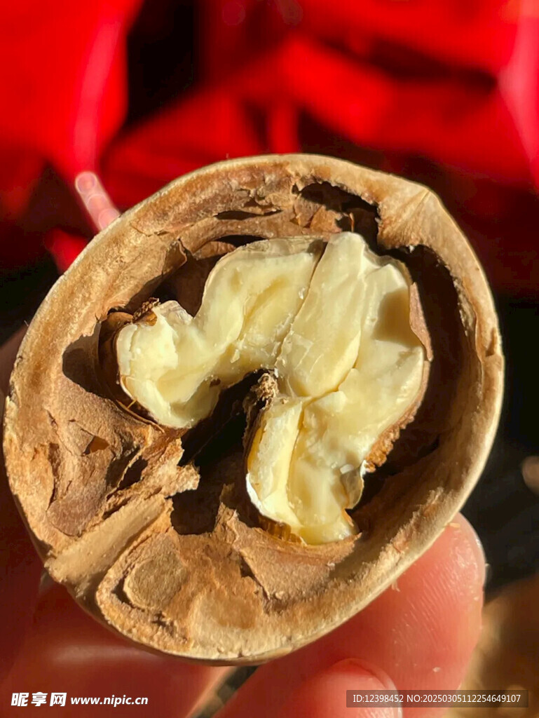 草本核桃