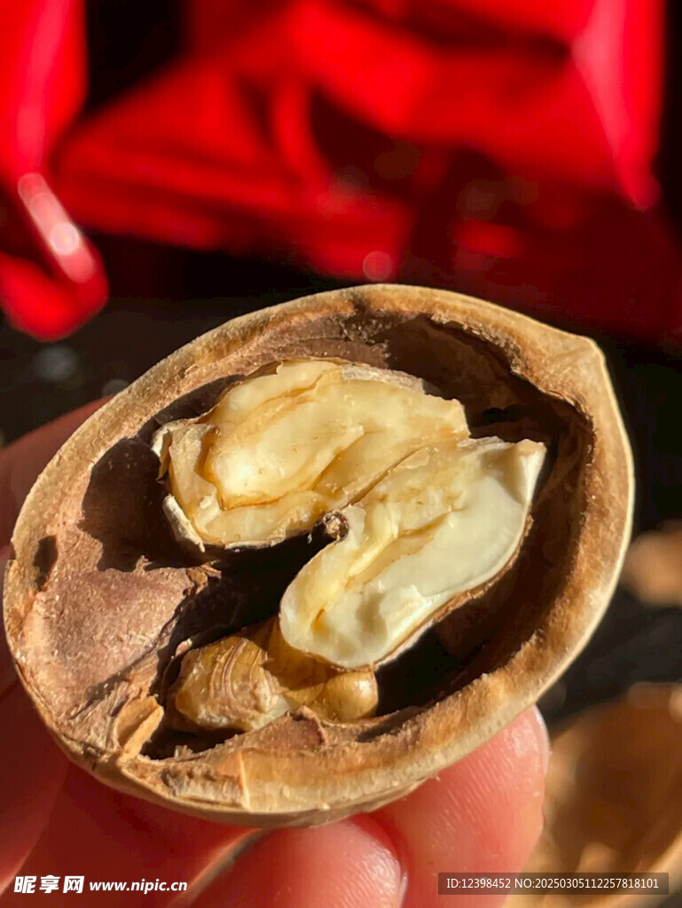 草本核桃