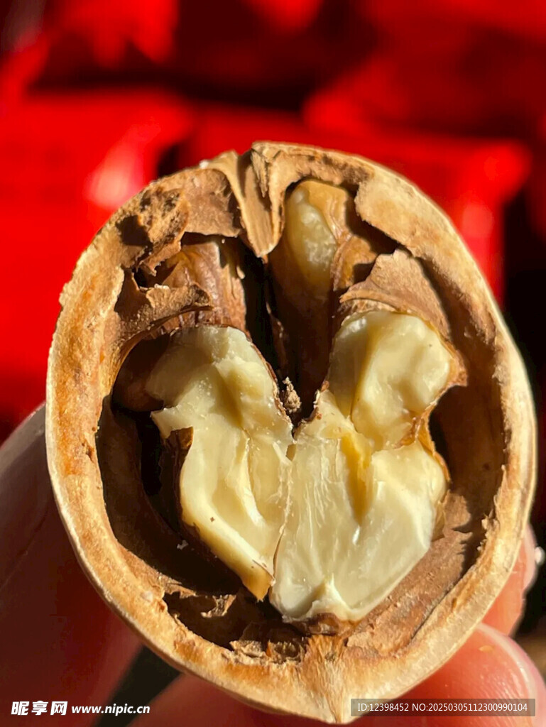 草本核桃