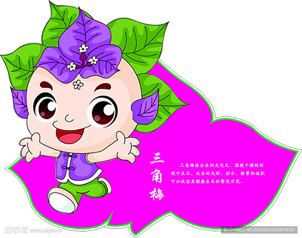 三角梅