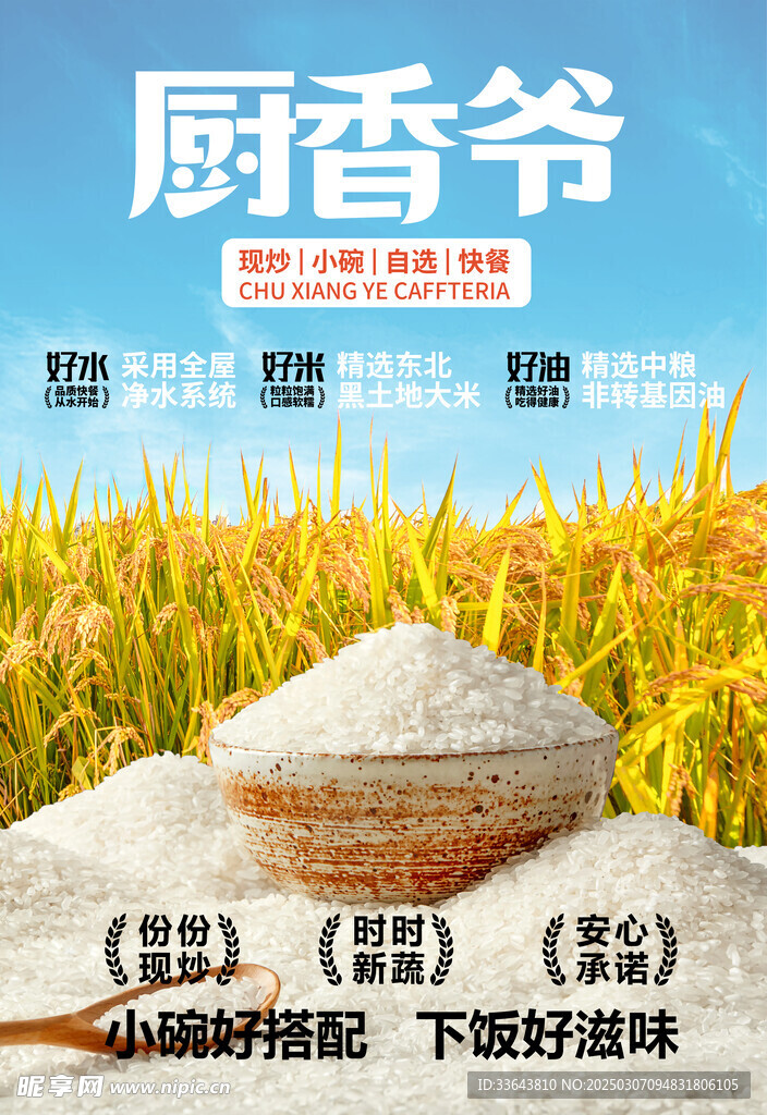 大米 水稻 快餐
