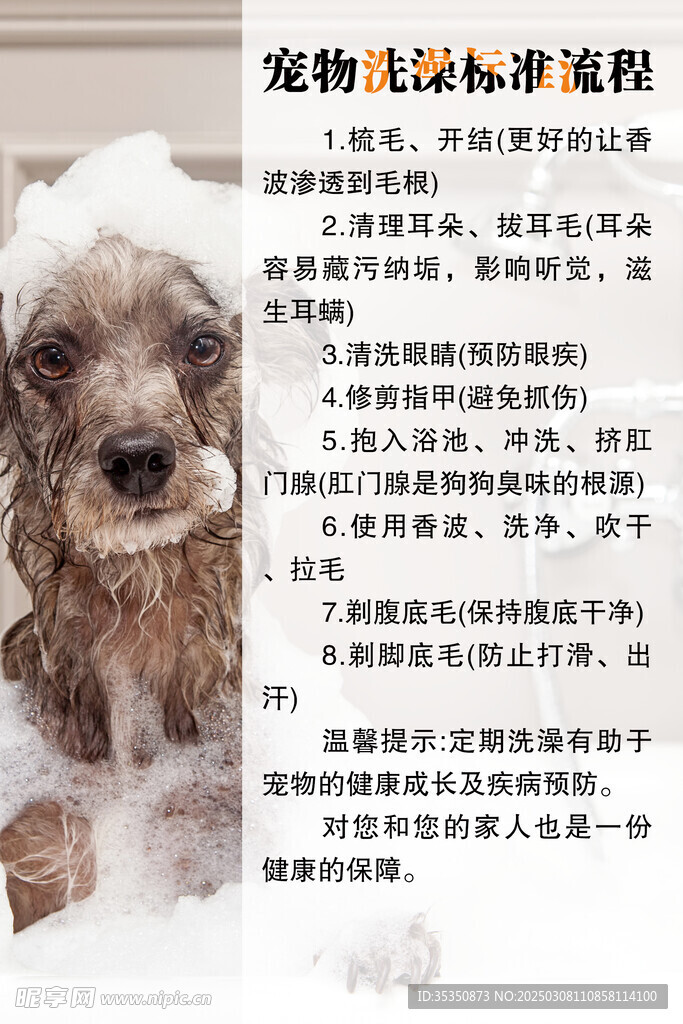 寵物洗澡