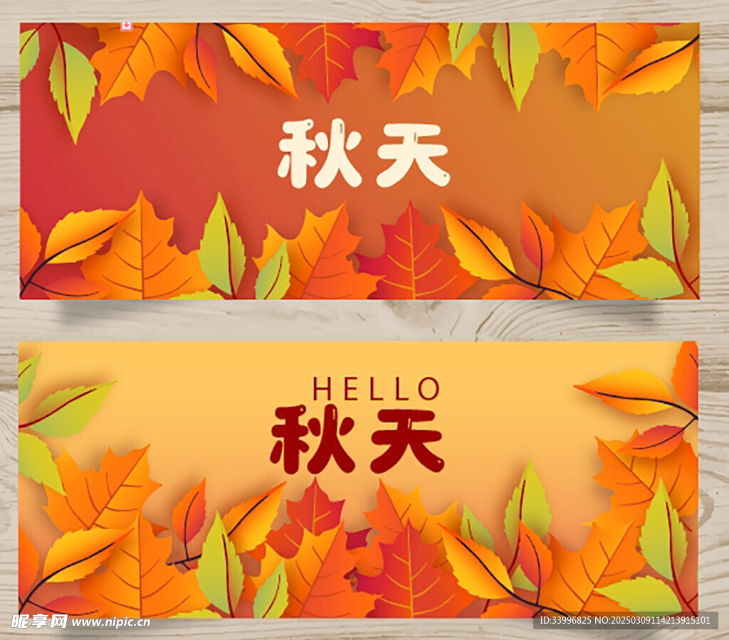 多彩的葉子秋天