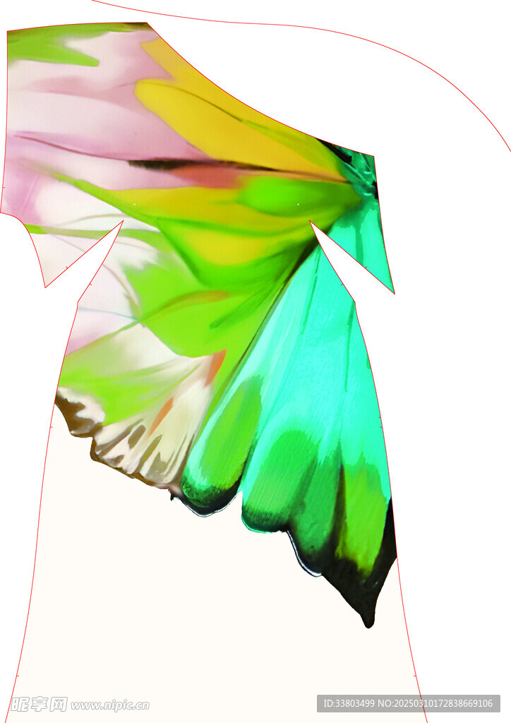 定位蝴蝶