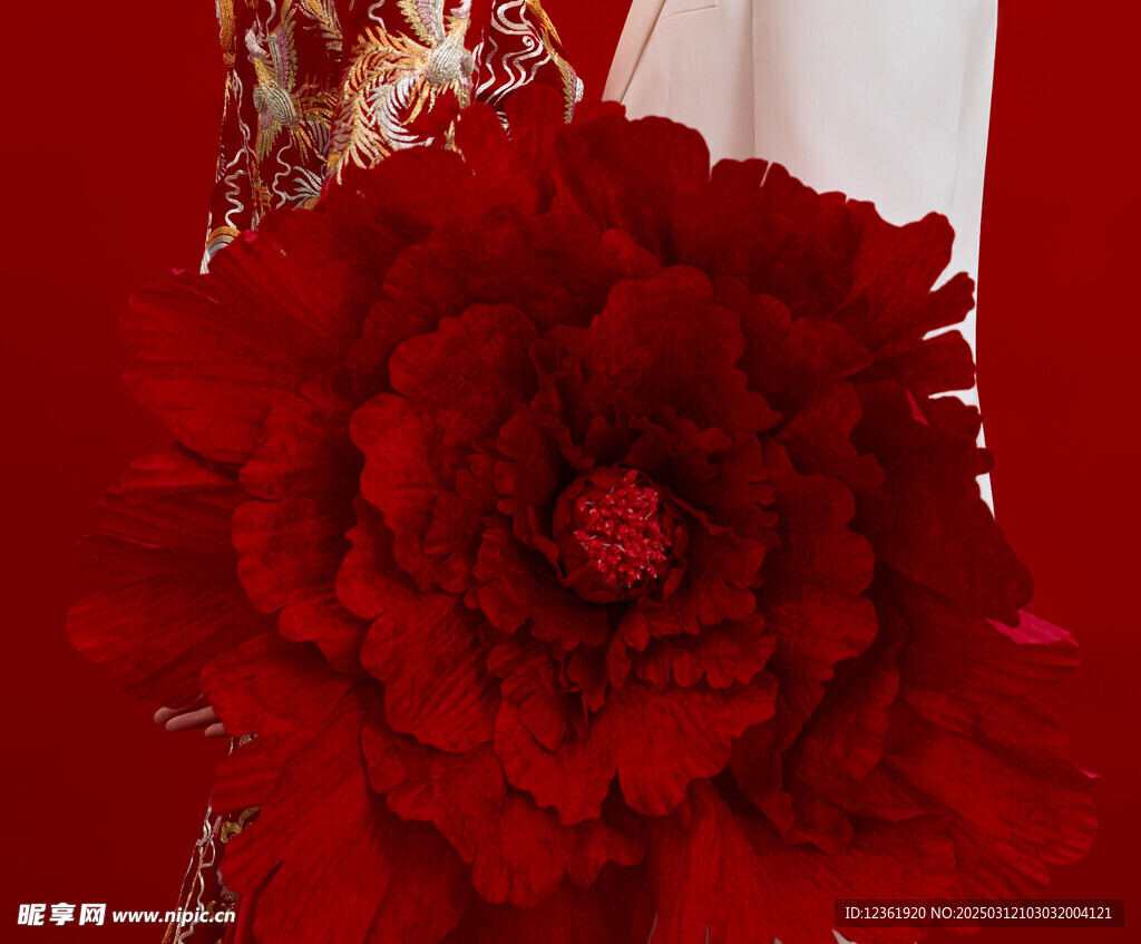 紅花素材