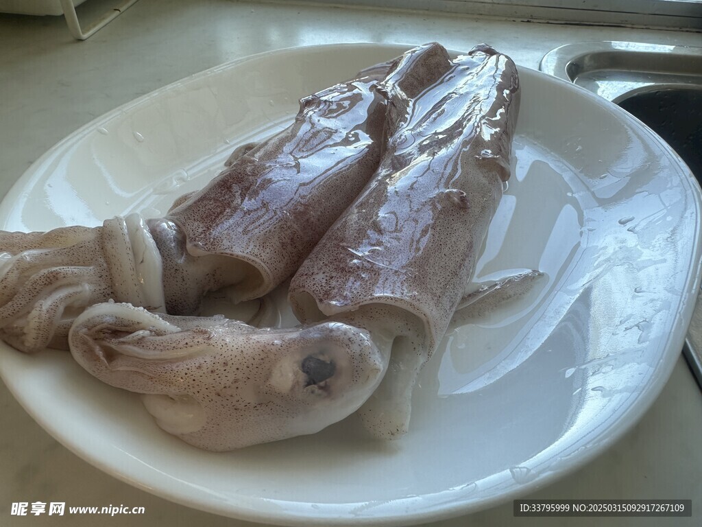 生鮮大魷魚
