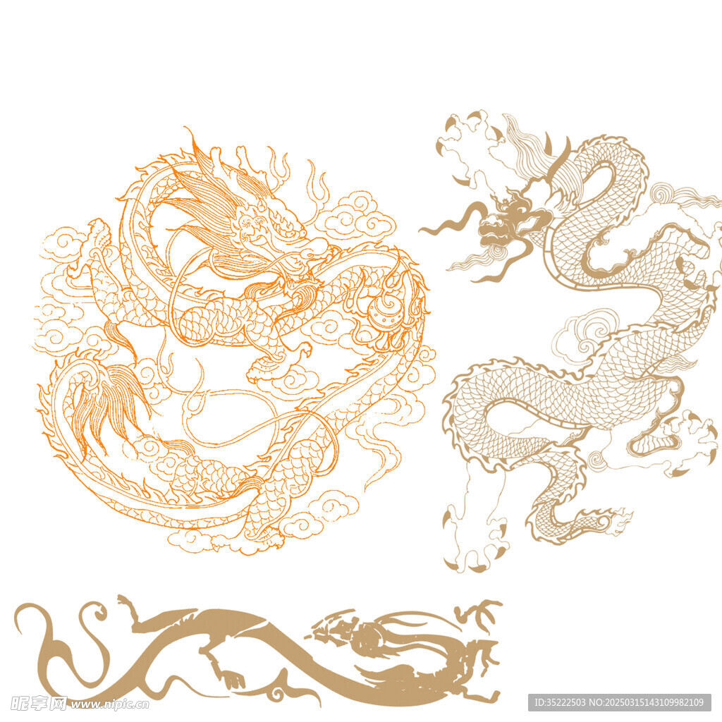 龍