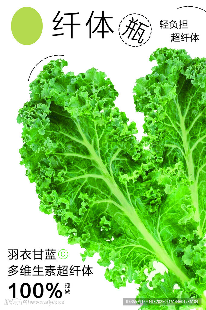 羽衣甘藍(lán)