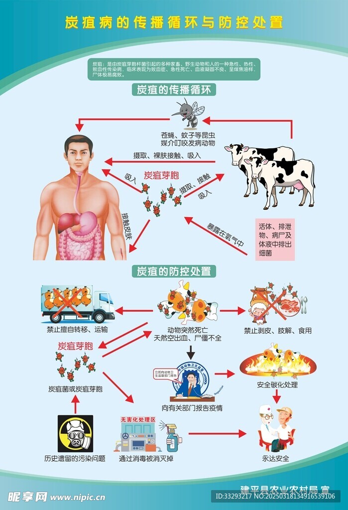 炭疽病宣傳海報
