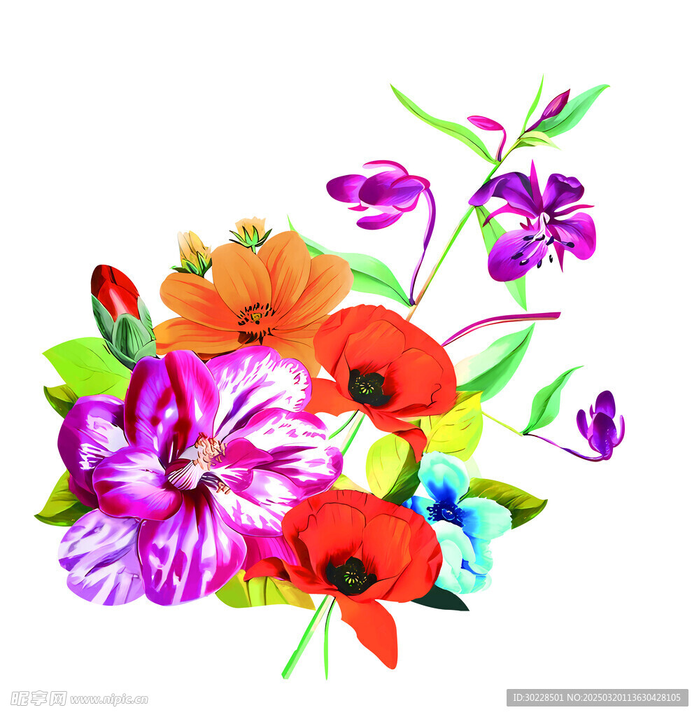百合花