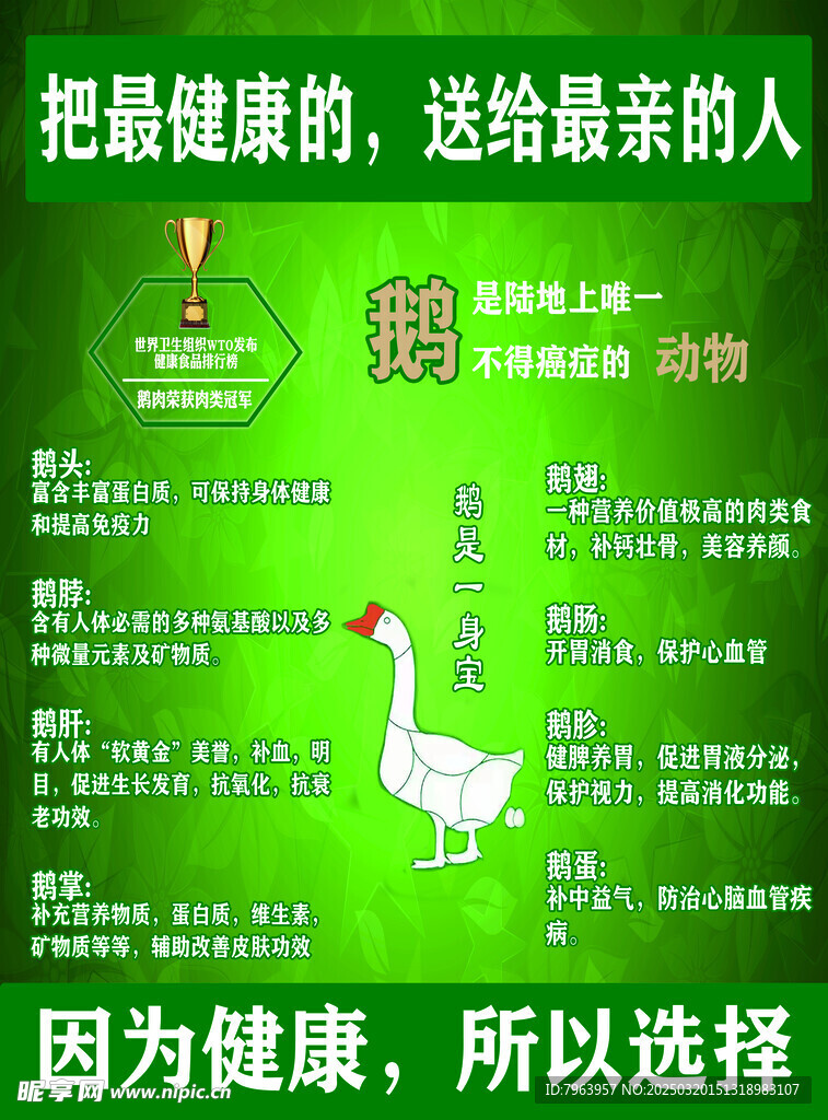 綠色養(yǎng)殖鵝