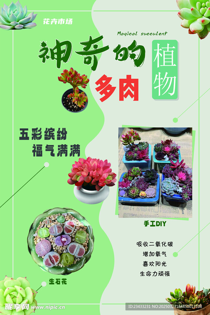 多肉植物海報