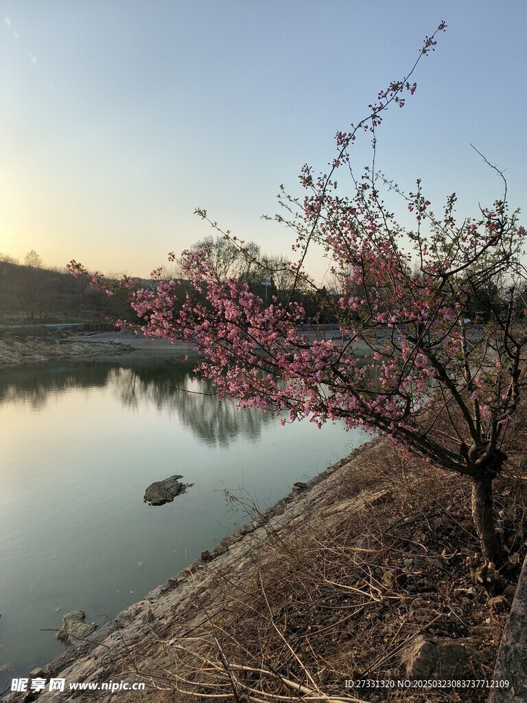 樂澗套