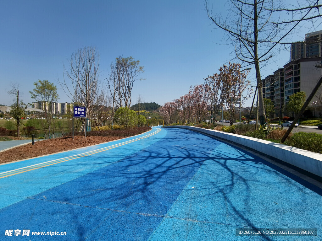 公園路