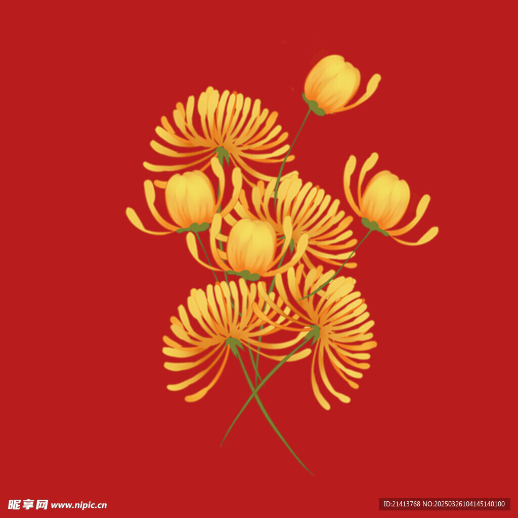手繪菊花