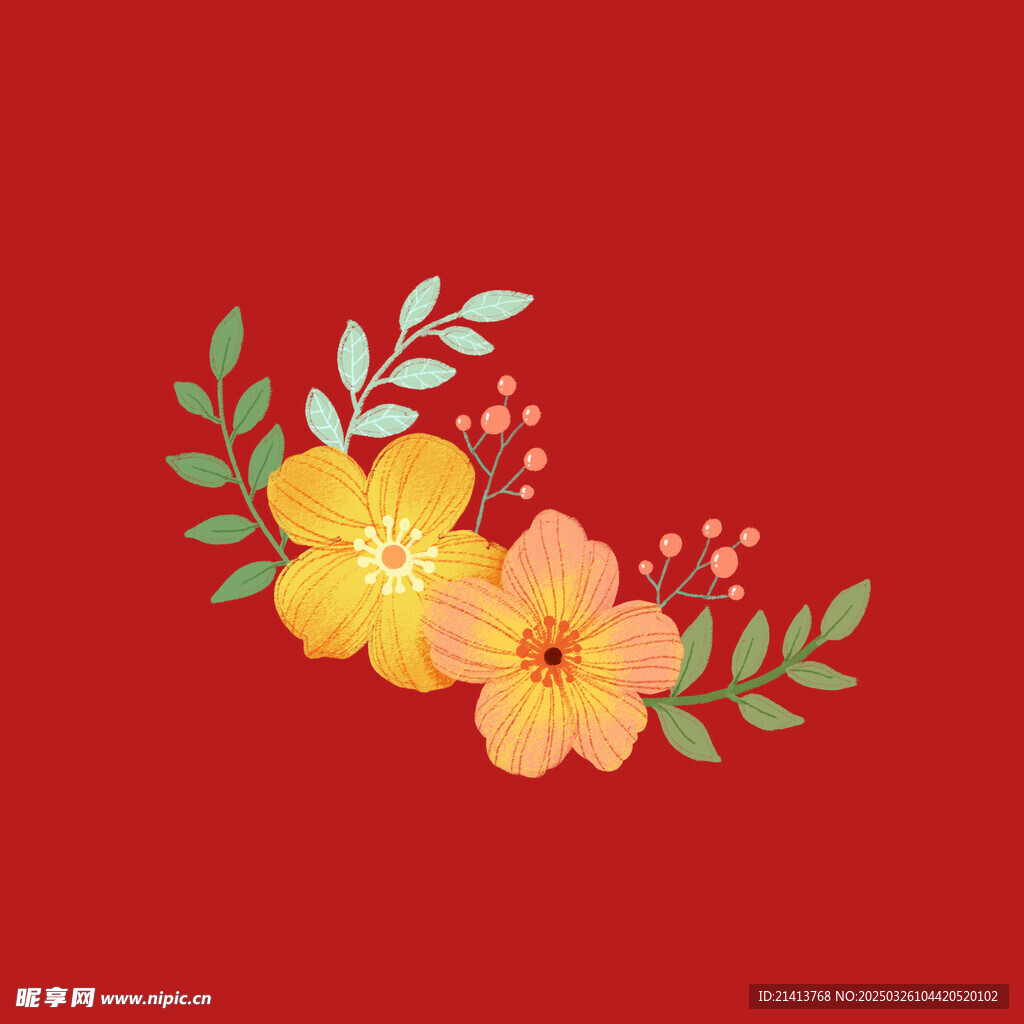 小雛菊菊花