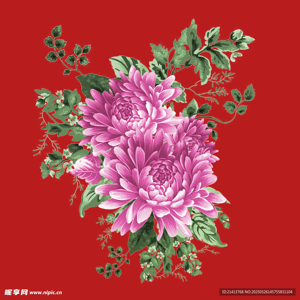 花朵牡丹花