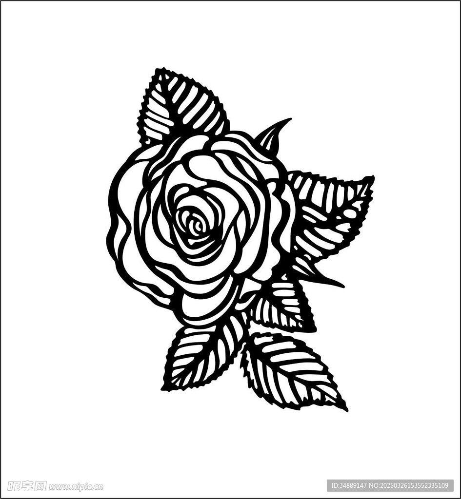 玫瑰花