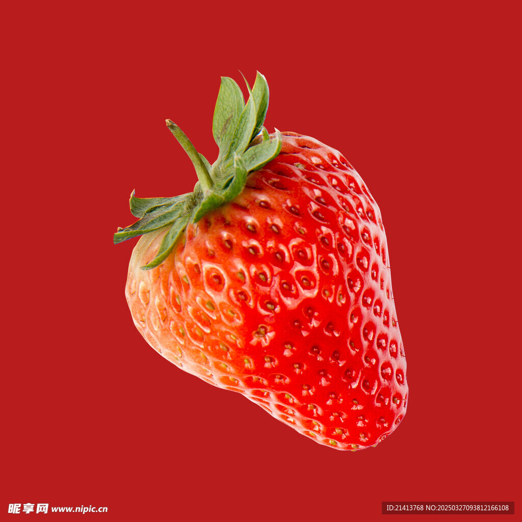 水果草莓