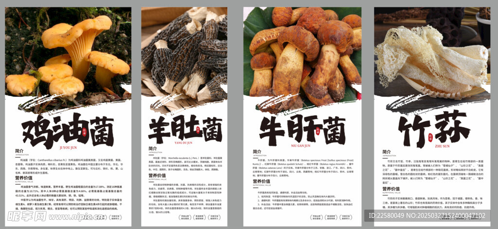 菌類海報