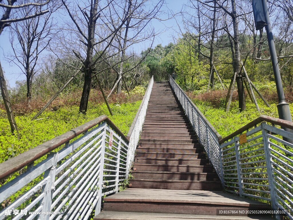 上山木梯