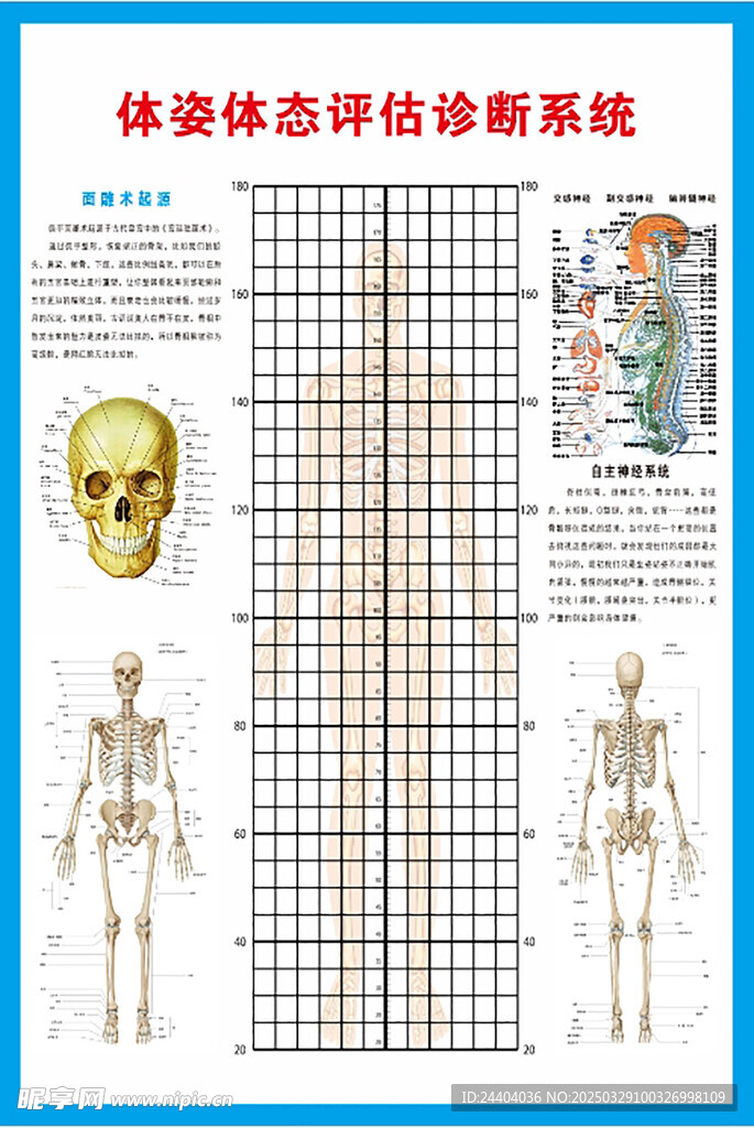 面雕術體姿體態評估診斷系統