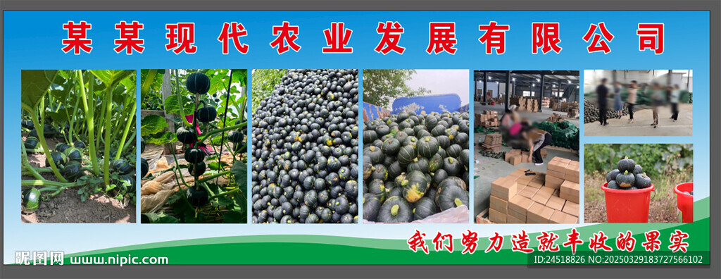 南瓜