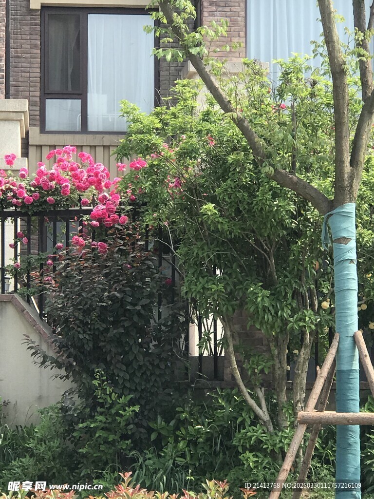 城市小區風景