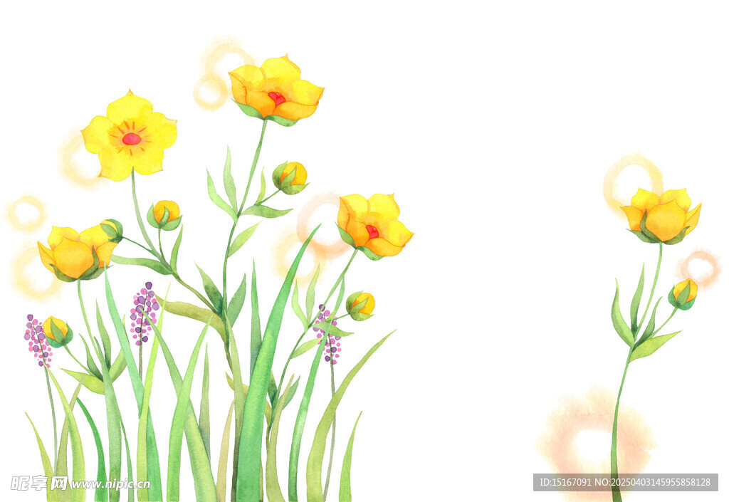 卡通手繪鮮花插畫元素