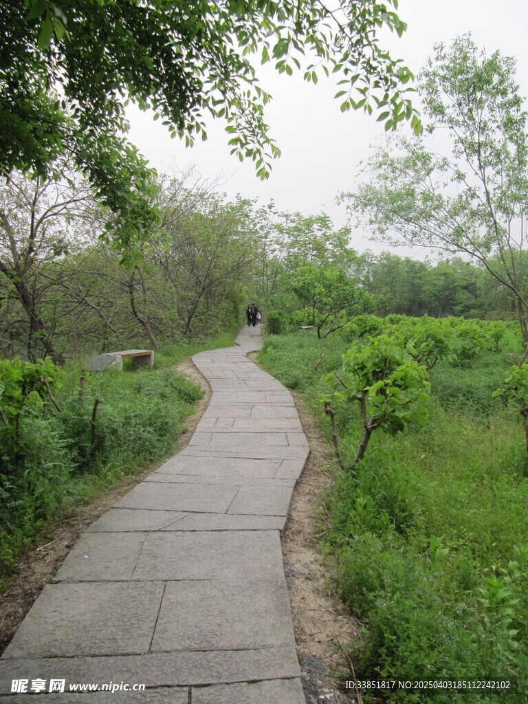 小路