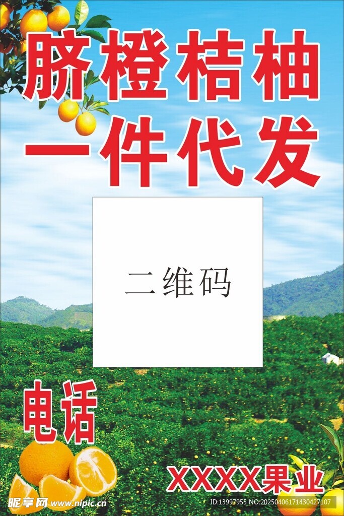 臍橙桔柚 一件代發